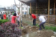 我公司赴英德石下村開展義務(wù)植樹活動
