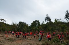 德晟集團(tuán)參加2017年市區(qū)義務(wù)植樹活動(dòng)