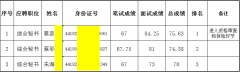 清遠(yuǎn)市德晟投資集團(tuán)有限公司2017年下半年公開招