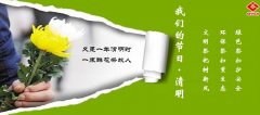 我們的節(jié)日·清明∣文明祭掃 綠色清明