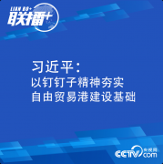習近平：以釘釘子精神夯實自由貿(mào)易港建設基礎
