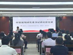 德晟集團(tuán)黨委書記講紀(jì)律專題黨課